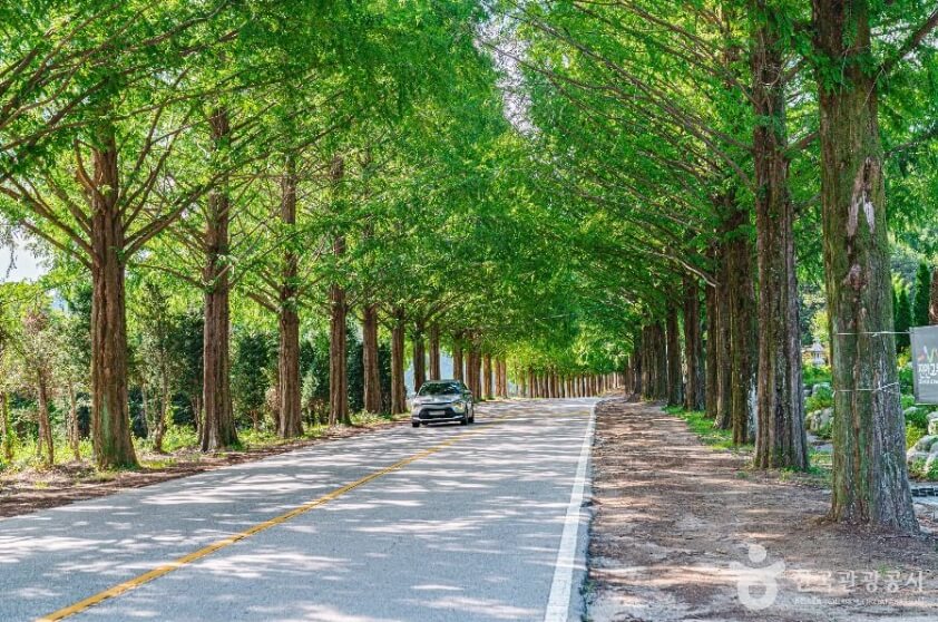 진안 가볼만한곳 베스트 10