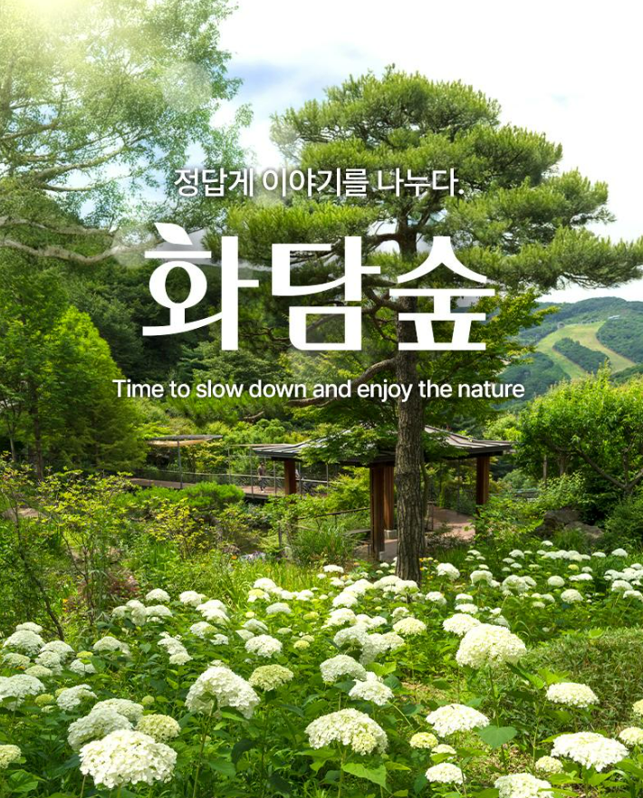 2025 화담숲 수국축제 예약 방법 모노레일 예매 꿀팁