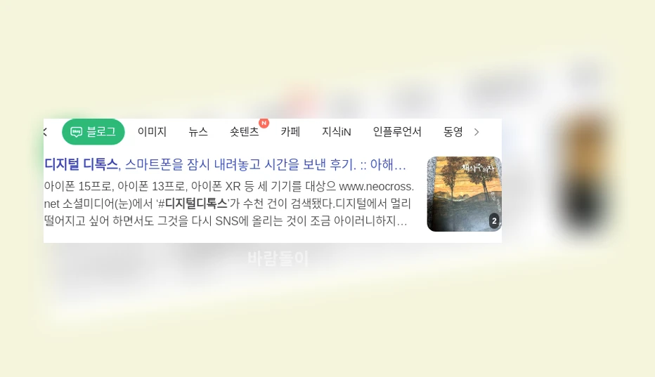 디지털 디톡스_1_subsection