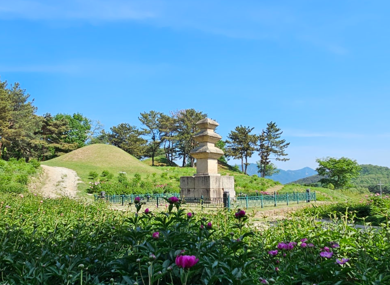 경주 서악동 삼층석탑, 숨겨진 작약꽃 명소에서 즐기는 봄 풍경