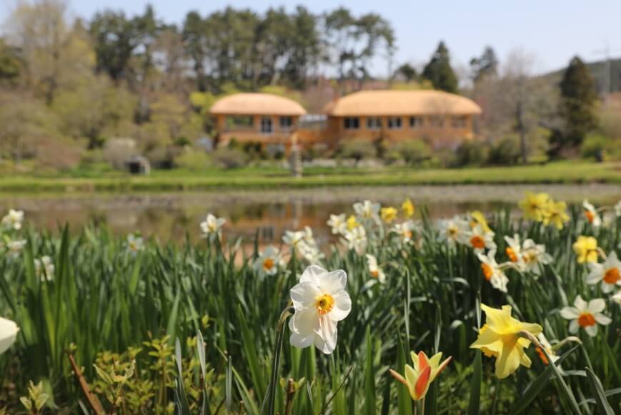 태안 지진 위치 지도