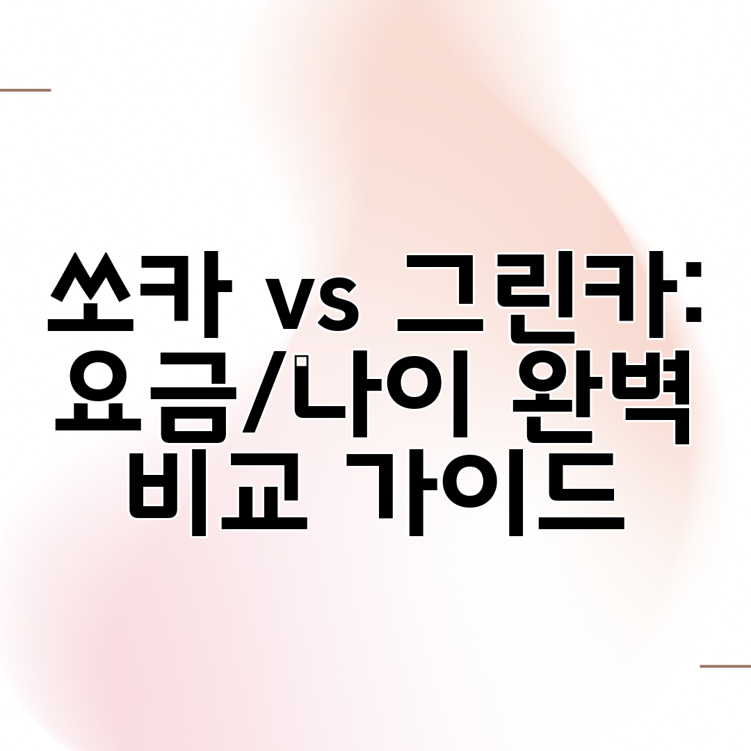 쏘카 vs 그린카 요금나이 완벽 비교 가이드