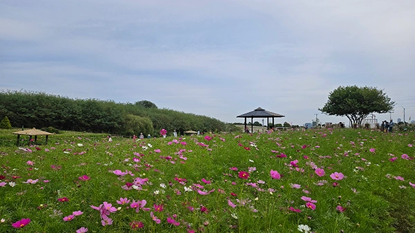 하늘공원