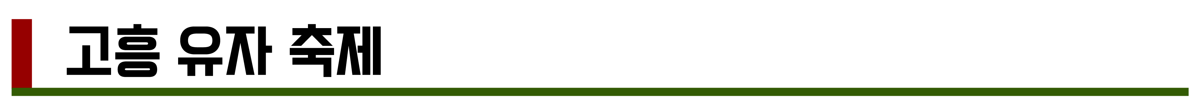 2024년 11월, 12월 축제 총정리