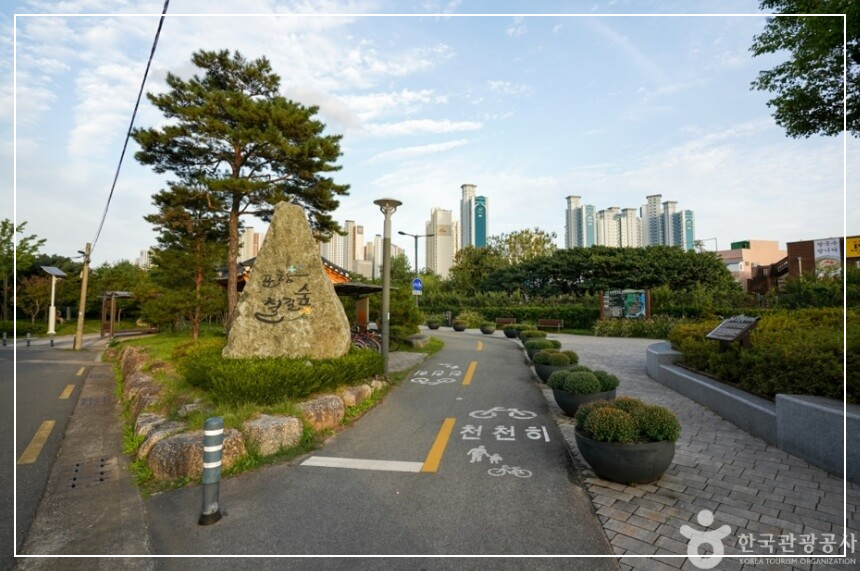 포항 가볼만한곳 베스트10 포항 철길숲