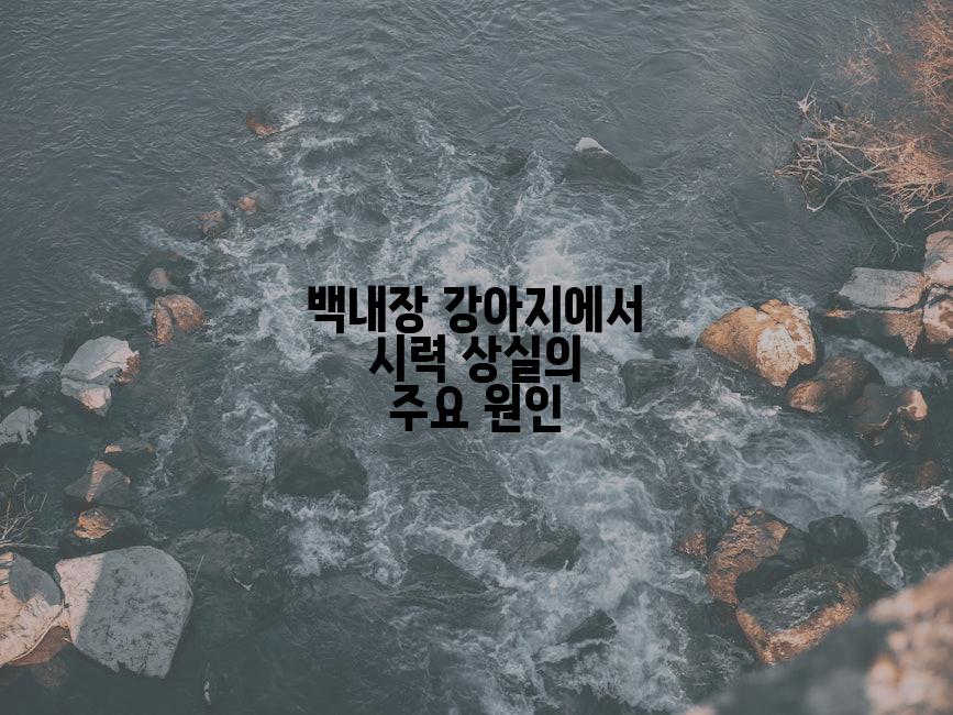 백내장 강아지에서 시력 상실의 주요 원인