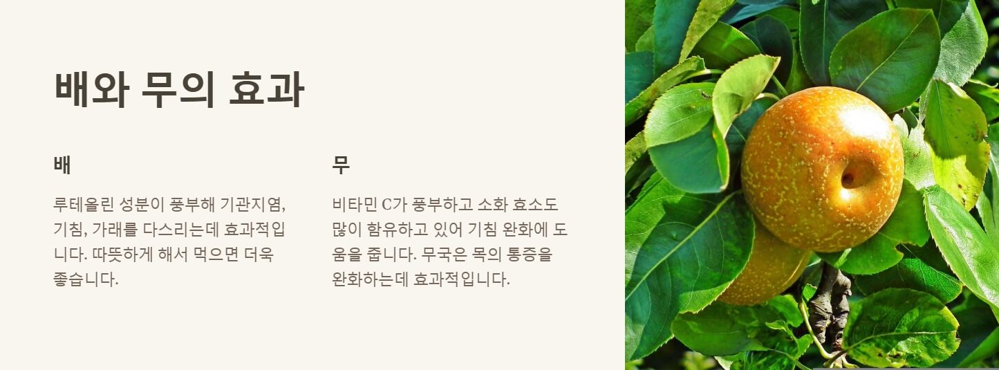 만성기침에 좋은 음식