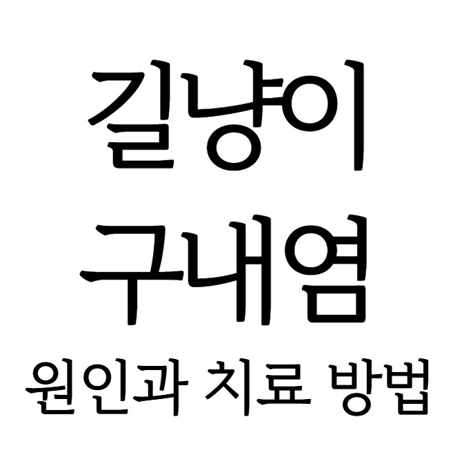 길냥이 구내염 원인과 치료 방법