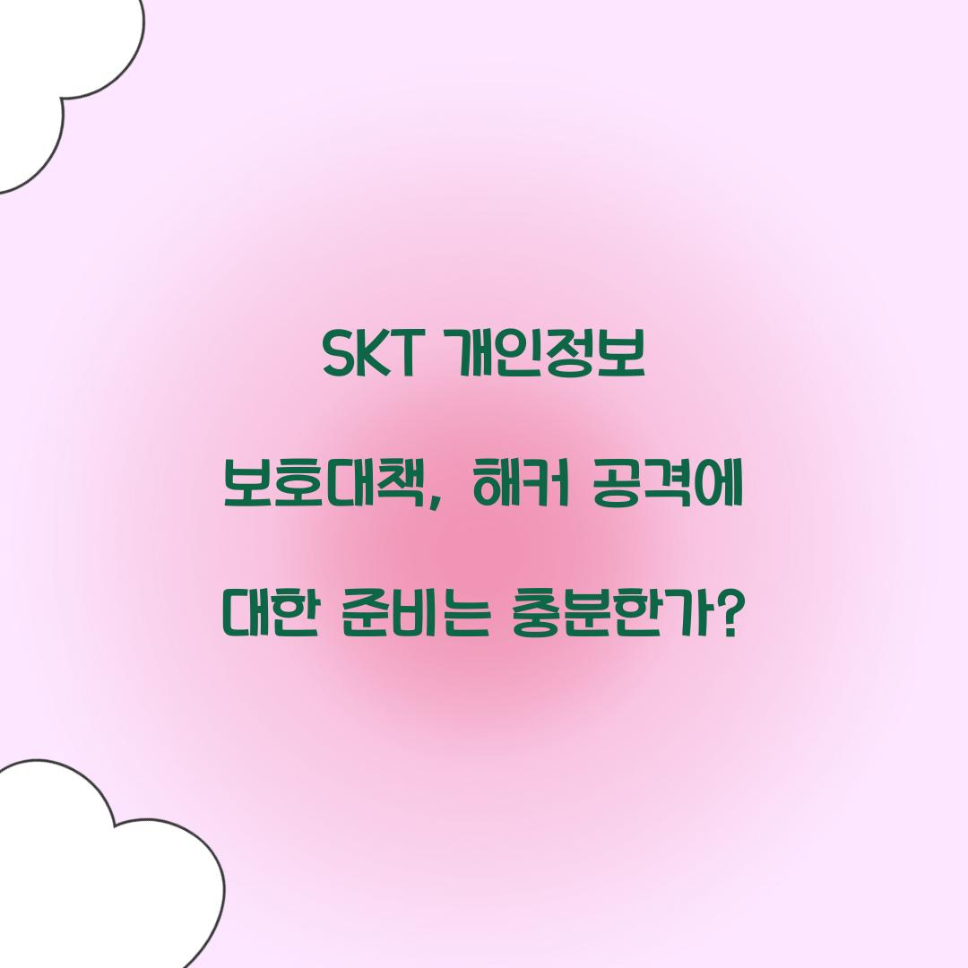 skt 개인정보 보호대책