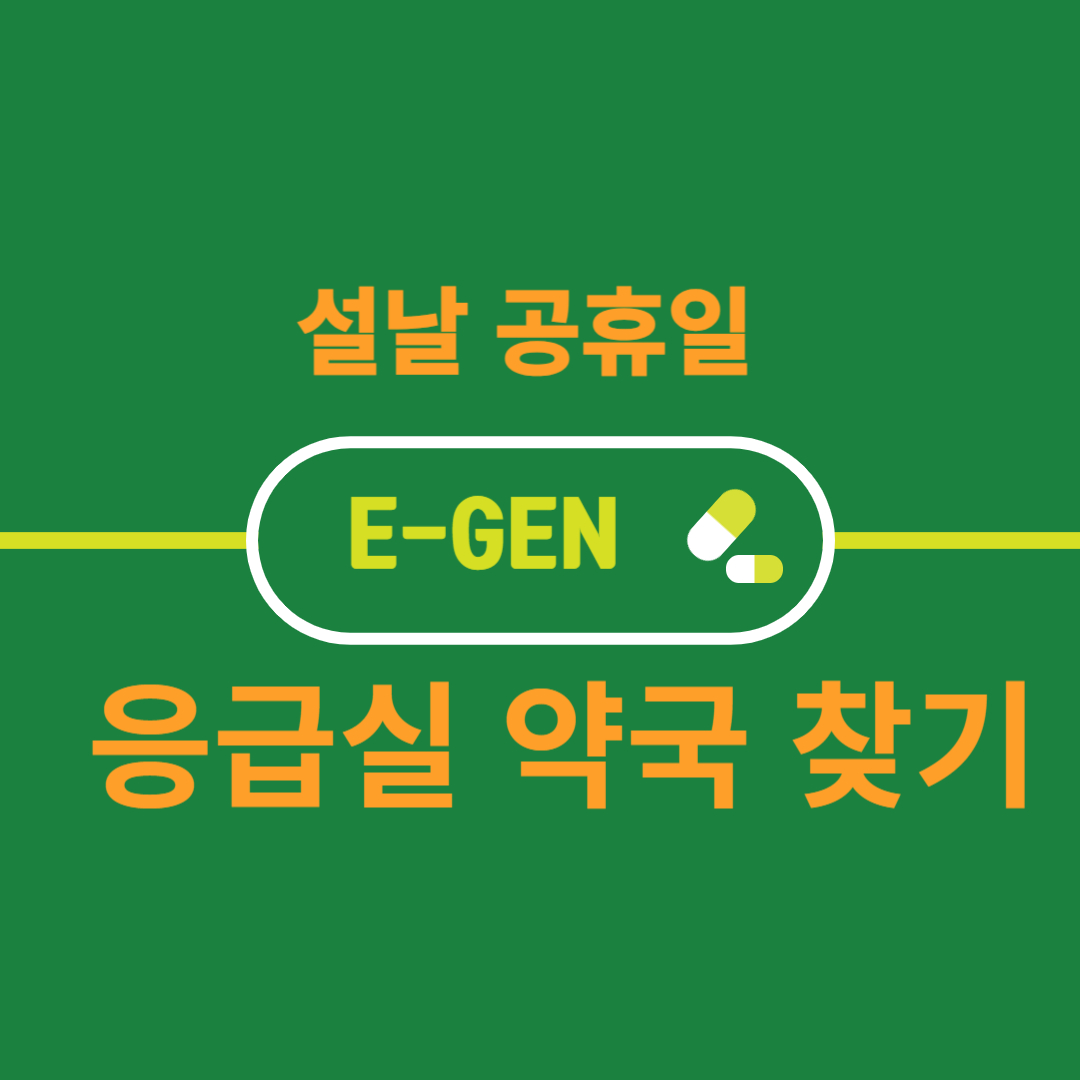 설날 응급실 찾기