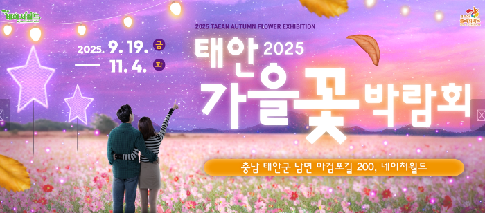 2025 태안 가을 꽃 박람회 홈페이지 이미지