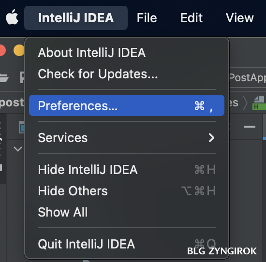 인텔리제이-Preferences-메뉴-항목