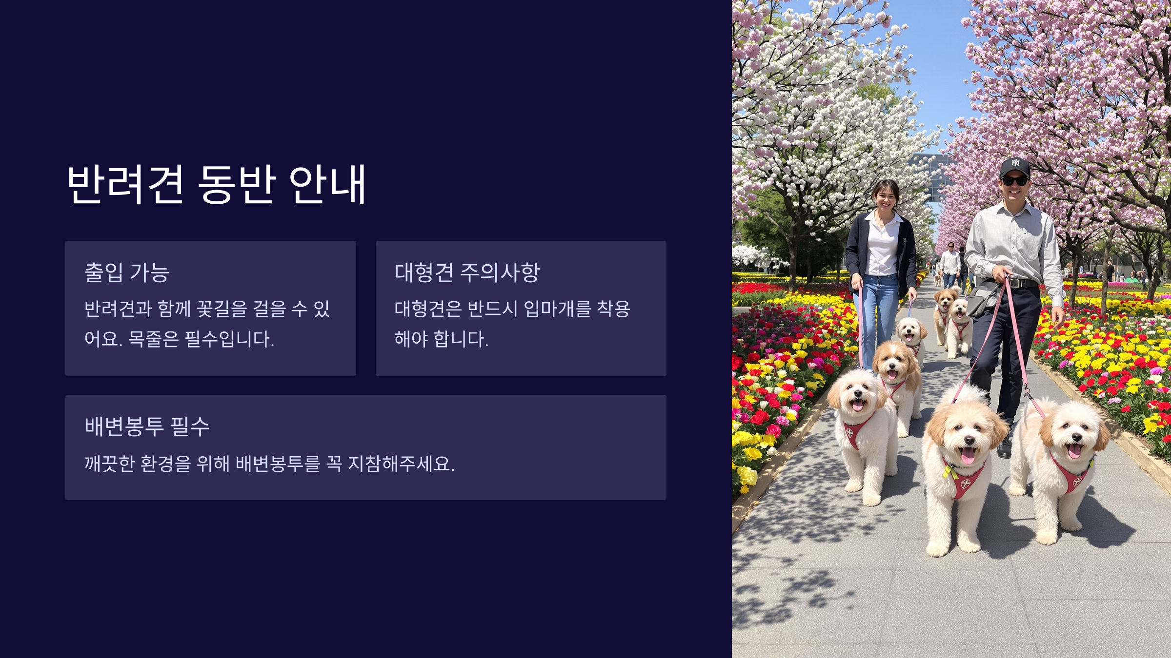 태안봄꽃정원 총정리