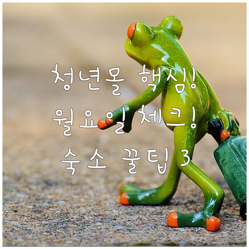 전주 남부시장 2층 청년몰 월요일 휴..