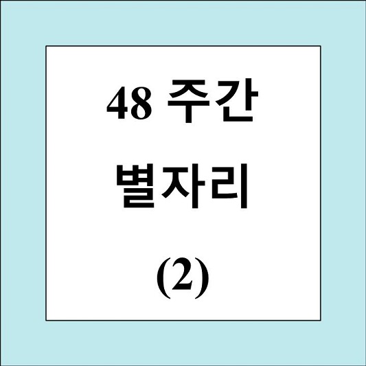 48주간 별자리 두번 째 제목 상자