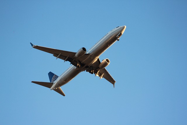 하늘을 나는 비행기