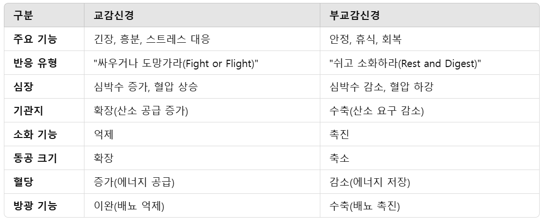 교감신경과-부교감신경-비교