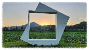 함안 연꽃테마파크