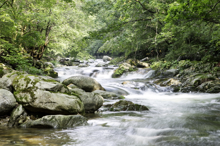 가평-조무락계곡
