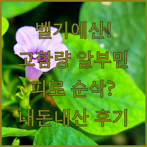 벨기에산 고함량 알부민 추천 이유와 ..