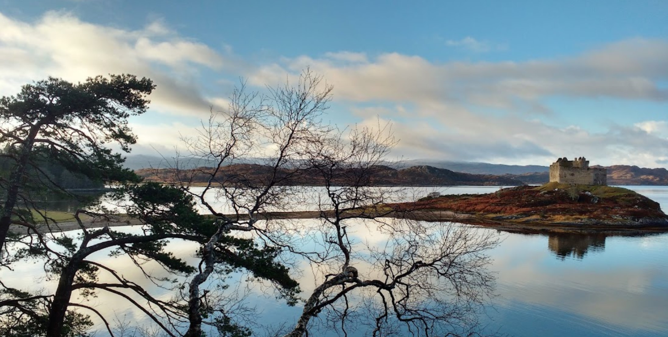 스코틀랜드 티오람성