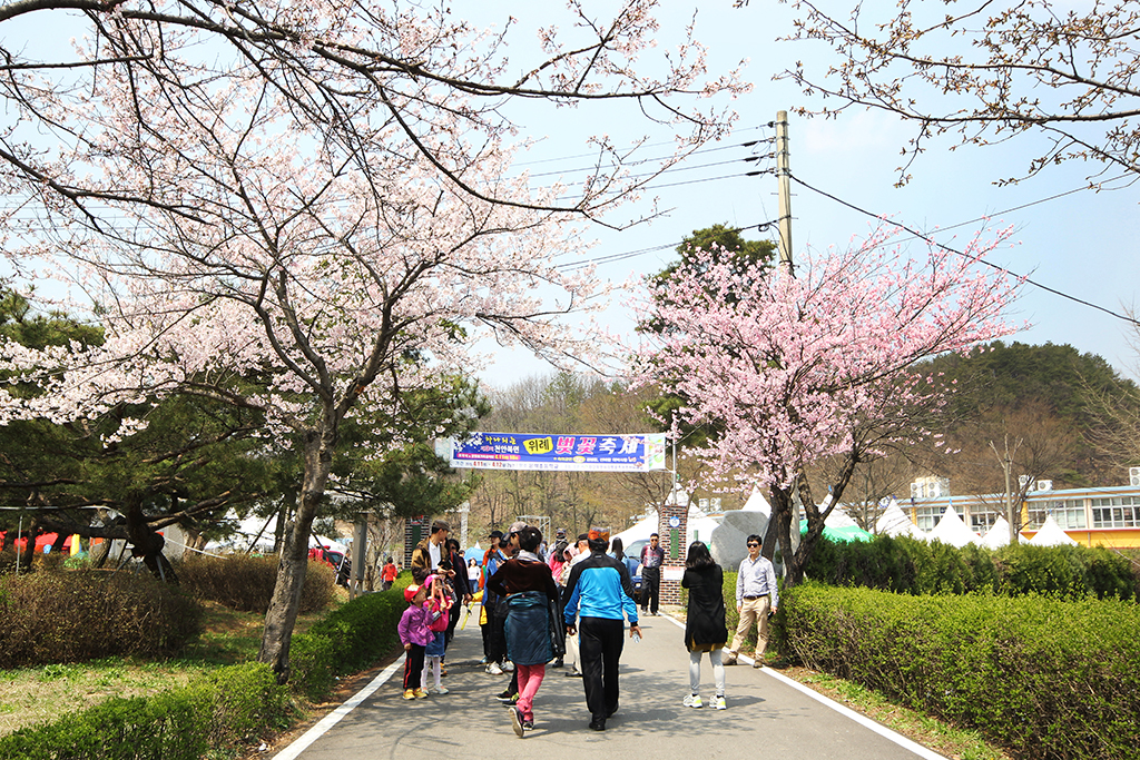 제 9회 천안위례 벚꽃축제 기본일정과 프로그램 소개