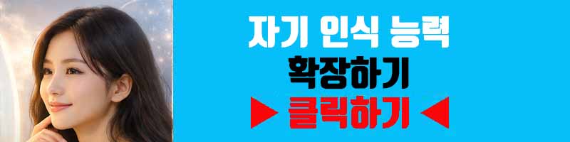자기 인식 능력 확장하기