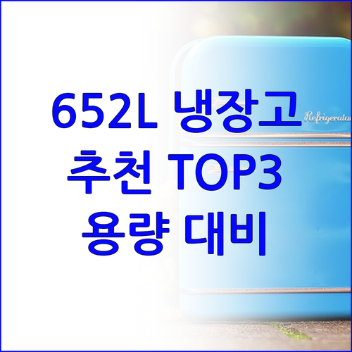 652L 대용량 냉장고 추천 어떤 제