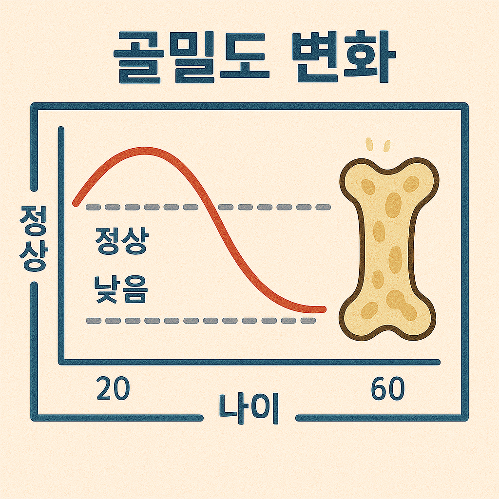 골밀도 변화도