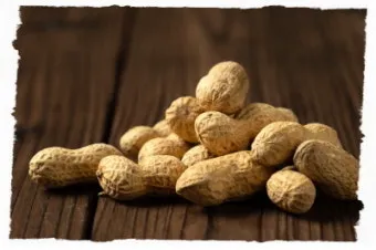 땅콩 심는시기 파종법 중부 남부_13