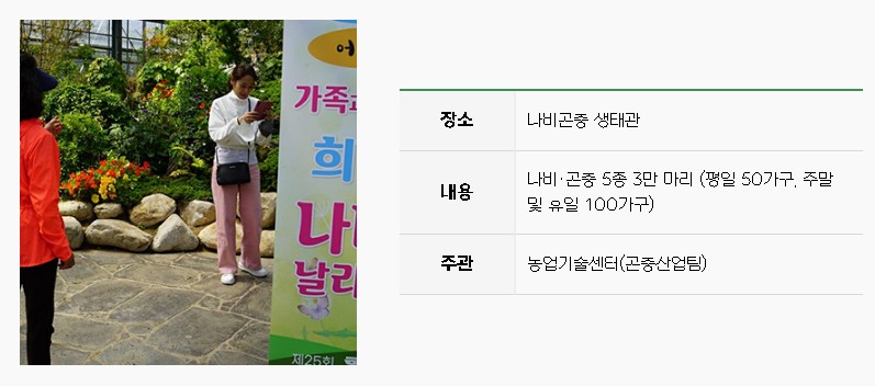 가족과 함께 나비날리기