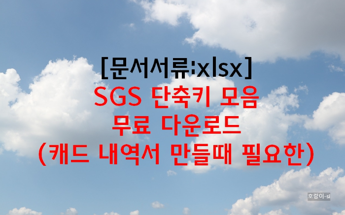 SGS 단축키 모음