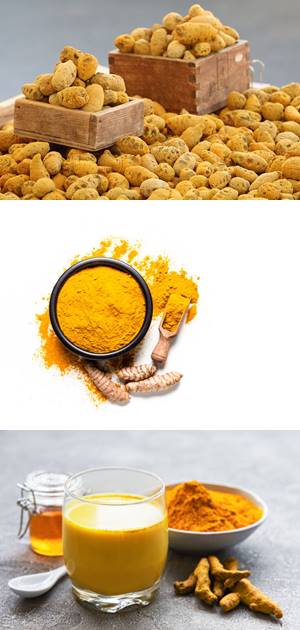 강황이_쌓여있는_모습