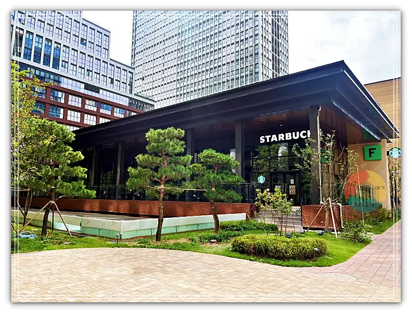 퍼블릭가산_스타벅스-야외테라스-미니소나무