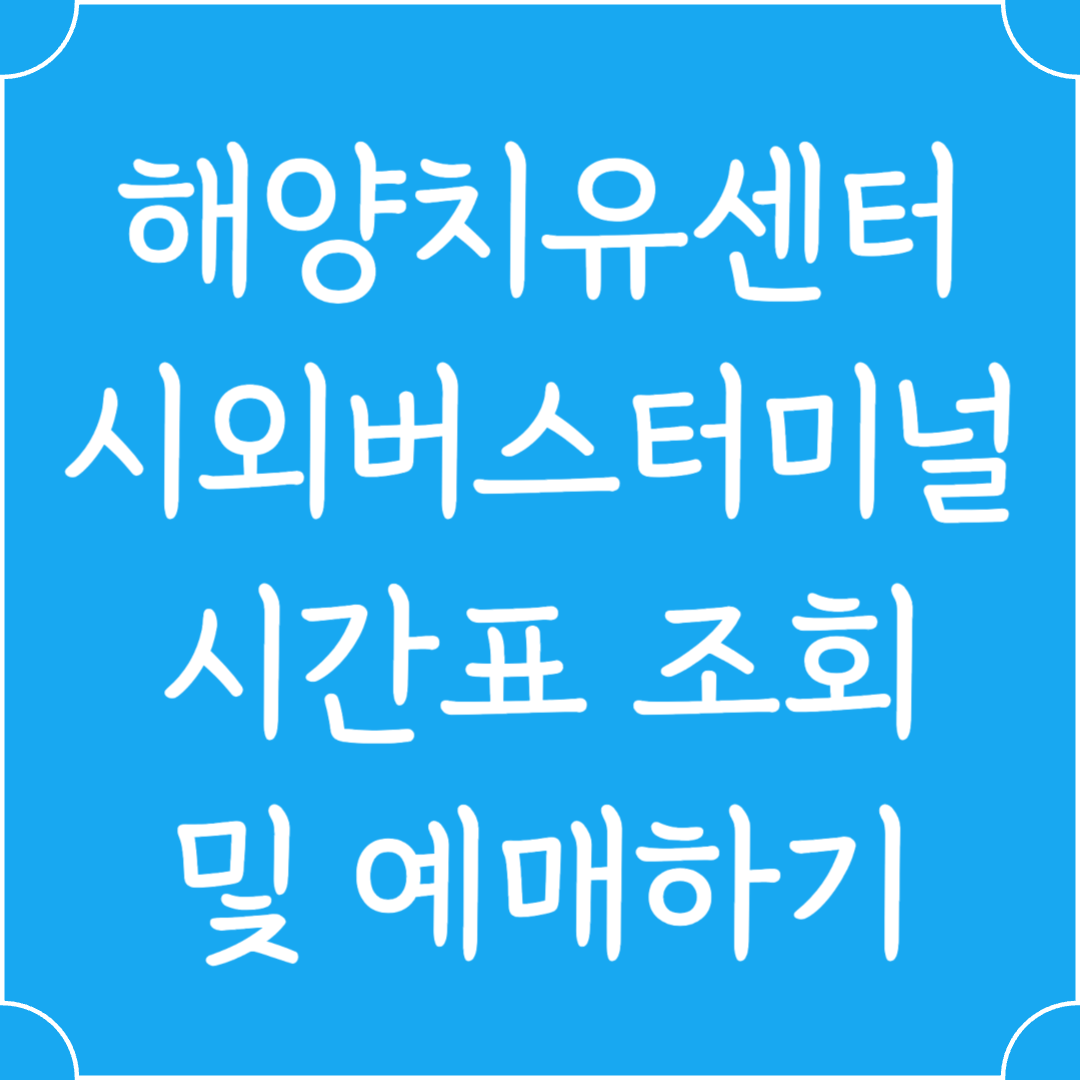 해양치유센터 시외버스터미널 시간표조회 및 예매하기