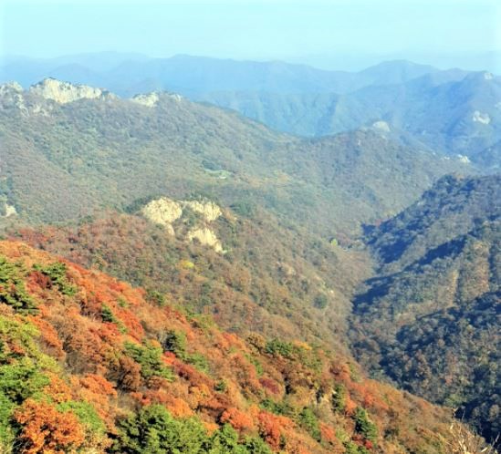 내장산 정상