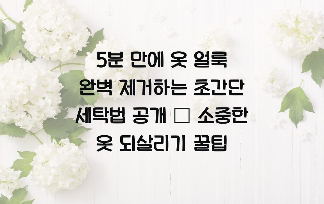 5분 만에 옷 얼룩 완벽 제거하는 초간단 세탁법 공개