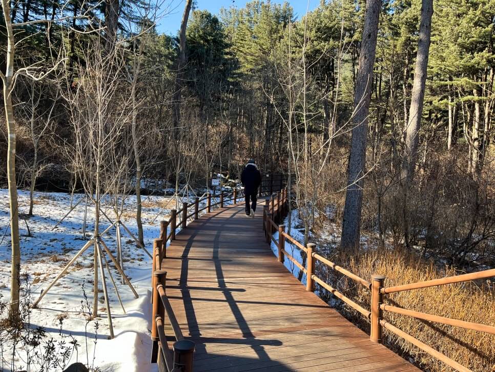 산림청 명품숲길 겨울 트레킹 : 가평 잣향기 피톤치드길 코스&middot;주차&middot;팁