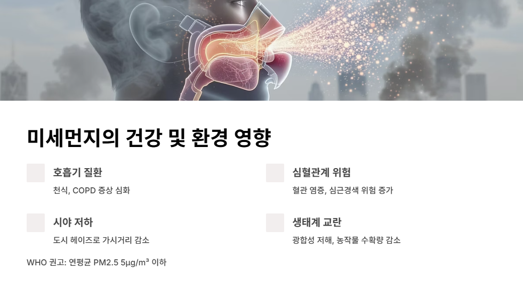 미세먼지의-건강-및-환경-영향