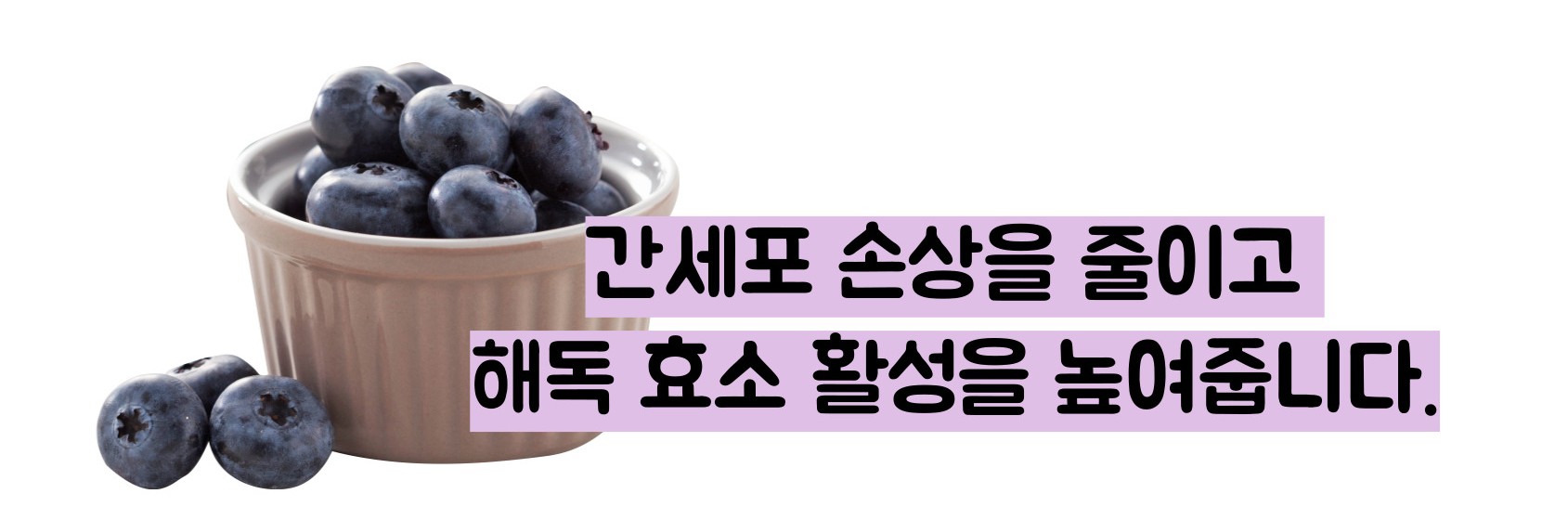블루베리 효능