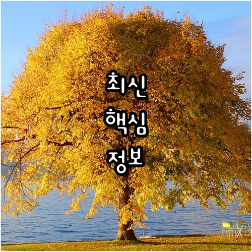 용산구 미래 인재 2025 꿈나무 장..