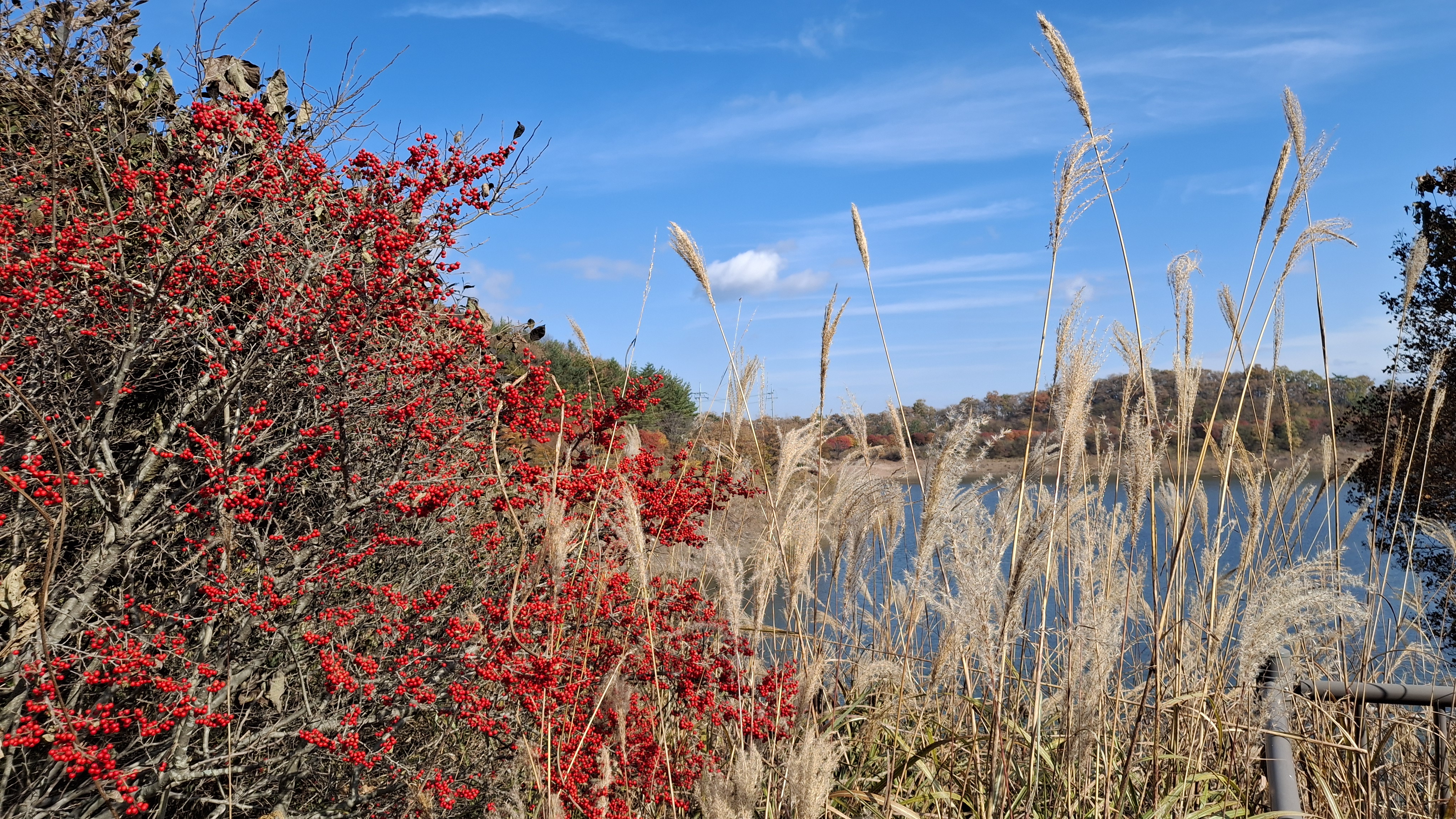 무주 적상산 적상호