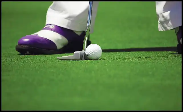 파크골프 용어 정리 (+ 해설 )