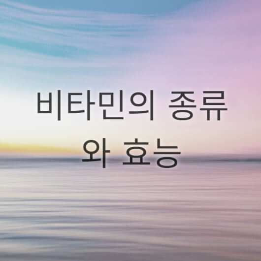 비타민의 종류와 효능