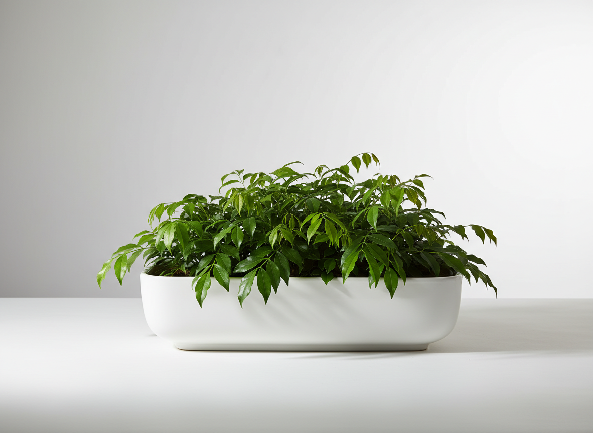 고속도로 통행료 미납 시 가산금 폭탄 즉시 확인하세요!