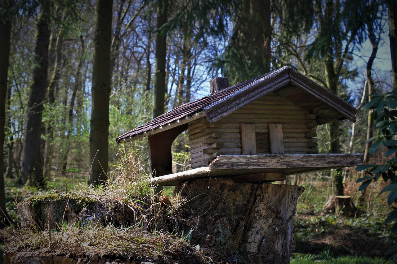 초보자들을 위한 기본 생존기술