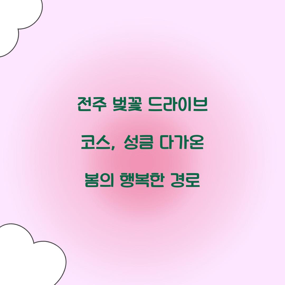 전주 벚꽃 드라이브 코스