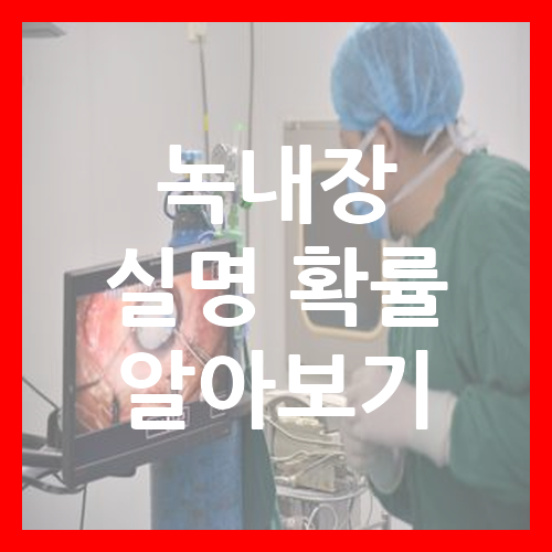 녹내장 실명 확률 알아보기