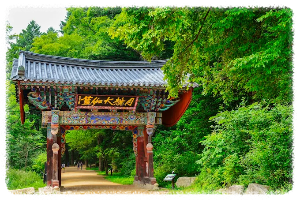 오대산월정사전나무숲길