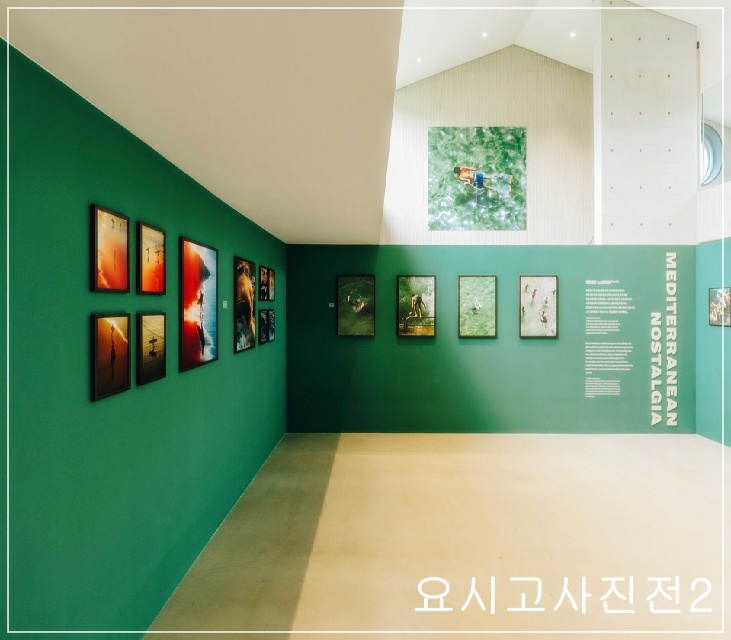 요시고사진전 그림